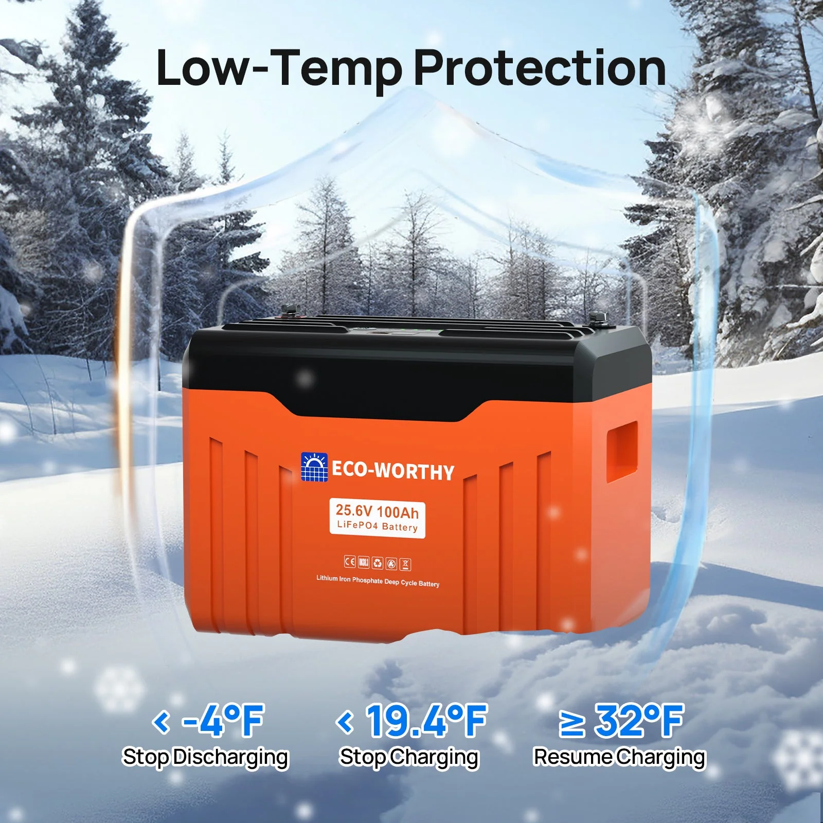 ECO-WORTHY 24V 100Ah Bluetooth Lithium Battery with BMS - Image 8